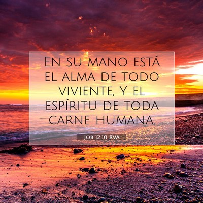 Picture 07 - Job 12:10 RVA - En su mano está el alma de todo viviente, Y el - Bible Verse Picture