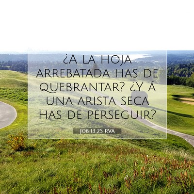 Picture 07 - Job 13:25 RVA - ¿A la hoja arrebatada has de quebrantar? ¿Y á - Bible Verse Picture