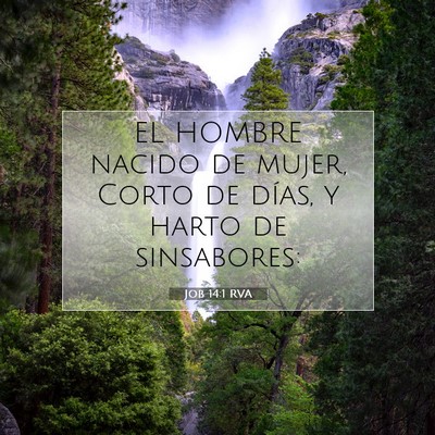 Picture 07 - Job 14:1 RVA - EL HOMBRE nacido de mujer, Corto de días, y - Bible Verse Picture