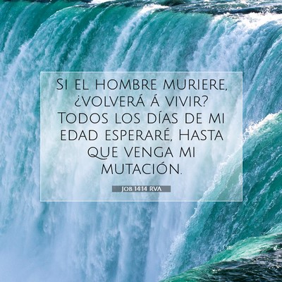 Picture 07 - Job 14:14 RVA - Si el hombre muriere, ¿volverá á vivir? Todos - Bible Verse Picture