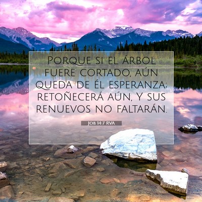Picture 07 - Job 14:7 RVA - Porque si el árbol fuere cortado, aún queda de - Bible Verse Picture