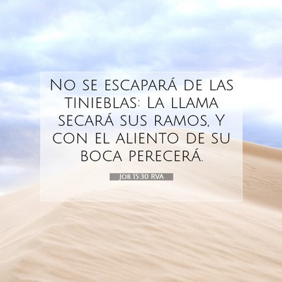 Picture 07 - Job 15:30 RVA - No se escapará de las tinieblas: La llama - Bible Verse Picture