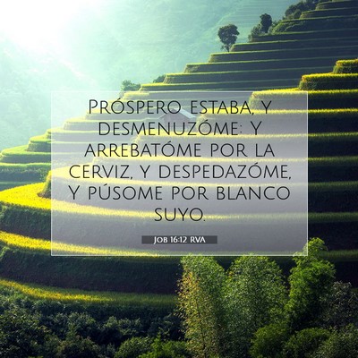 Picture 07 - Job 16:12 RVA - Próspero estaba, y desmenuzóme: Y arrebatóme - Bible Verse Picture
