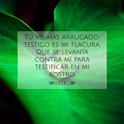 Picture 07 - Job 16:8 RVA - Tú me has arrugado; testigo es mi flacura, Que - Bible Verse Picture