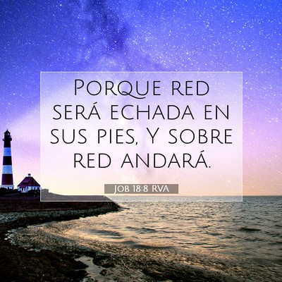 Picture 07 - Job 18:8 RVA - Porque red será echada en sus pies, Y sobre red - Bible Verse Picture
