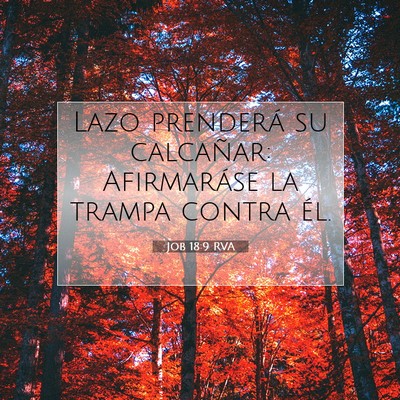 Picture 07 - Job 18:9 RVA - Lazo prenderá su calcañar: Afirmaráse la - Bible Verse Picture