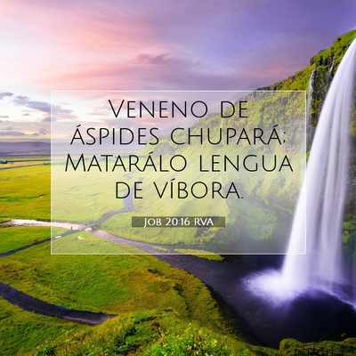 Picture 07 - Job 20:16 RVA - Veneno de áspides chupará; Matarálo lengua de - Bible Verse Picture