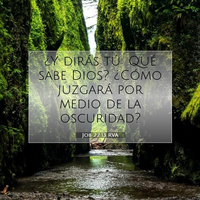 Picture 07 - Job 22:13 RVA - ¿Y dirás tú: Qué sabe Dios? ¿Cómo juzgará - Bible Verse Picture