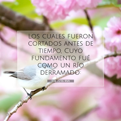 Picture 07 - Job 22:16 RVA - Los cuales fueron cortados antes de tiempo, Cuyo - Bible Verse Picture