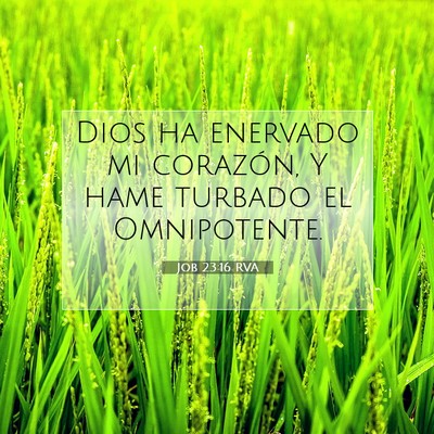 Picture 07 - Job 23:16 RVA - Dios ha enervado mi corazón, Y hame turbado el - Bible Verse Picture