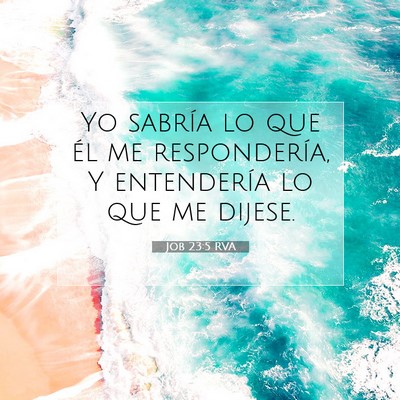 Picture 07 - Job 23:5 RVA - Yo sabría lo que él me respondería, Y - Bible Verse Picture