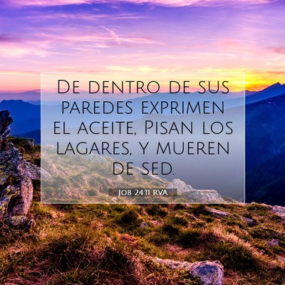 Picture 07 - Job 24:11 RVA - De dentro de sus paredes exprimen el aceite, - Bible Verse Picture