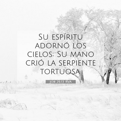 Picture 07 - Job 26:13 RVA - Su espíritu adornó los cielos; Su mano crió la - Bible Verse Picture
