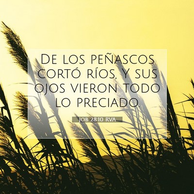 Picture 07 - Job 28:10 RVA - De los peñascos cortó ríos, Y sus ojos vieron - Bible Verse Picture