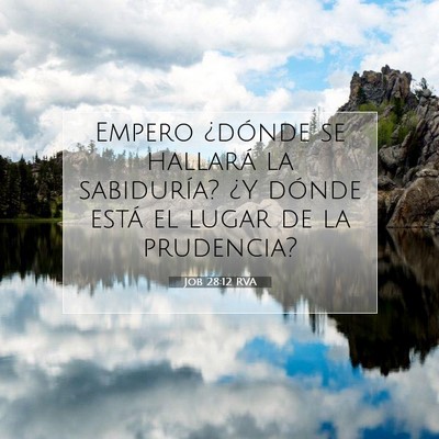Picture 07 - Job 28:12 RVA - Empero ¿dónde se hallará la sabiduría? ¿Y - Bible Verse Picture