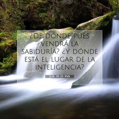Picture 07 - Job 28:20 RVA - ¿De dónde pues vendrá la sabiduría? ¿Y - Bible Verse Picture