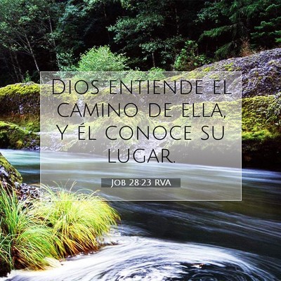 Picture 07 - Job 28:23 RVA - Dios entiende el camino de ella, Y él conoce su - Bible Verse Picture