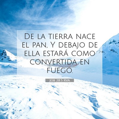 Picture 07 - Job 28:5 RVA - De la tierra nace el pan, Y debajo de ella - Bible Verse Picture