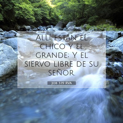 Picture 07 - Job 3:19 RVA - Allí están el chico y el grande; Y el siervo - Bible Verse Picture