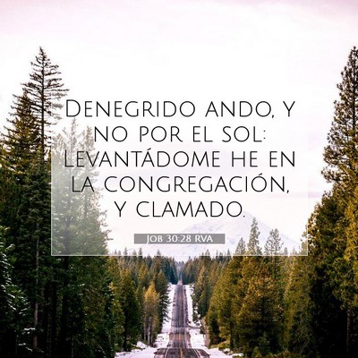 Picture 07 - Job 30:28 RVA - Denegrido ando, y no por el sol: Levantádome he - Bible Verse Picture