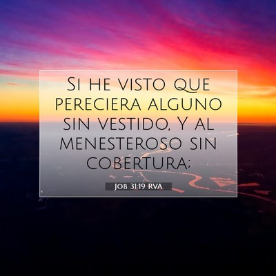 Picture 07 - Job 31:19 RVA - Si he visto que pereciera alguno sin vestido, Y - Bible Verse Picture