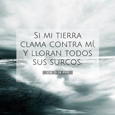 Picture 07 - Job 31:38 RVA - Si mi tierra clama contra mí, Y lloran todos sus - Bible Verse Picture