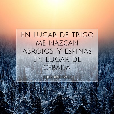 Picture 07 - Job 31:40 RVA - En lugar de trigo me nazcan abrojos, Y espinas en - Bible Verse Picture