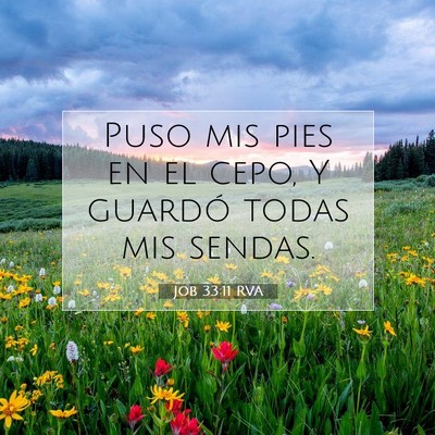 Picture 07 - Job 33:11 RVA - Puso mis pies en el cepo, Y guardó todas mis - Bible Verse Picture