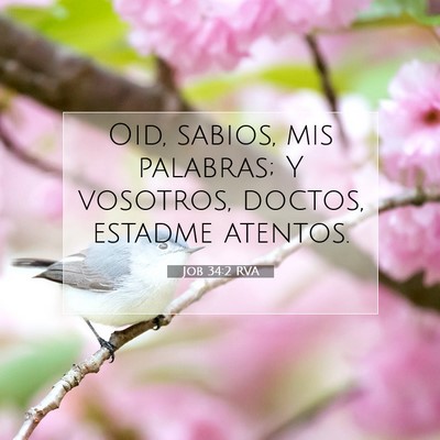 Picture 07 - Job 34:2 RVA - Oid, sabios, mis palabras; Y vosotros, doctos, - Bible Verse Picture