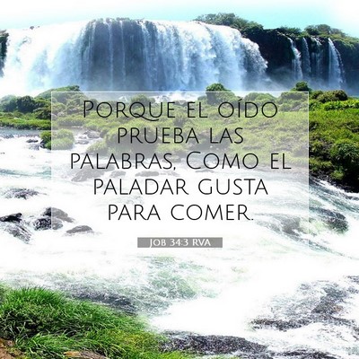 Picture 07 - Job 34:3 RVA - Porque el oído prueba las palabras, Como el - Bible Verse Picture