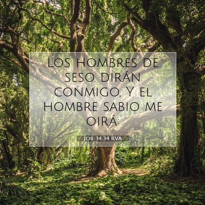 Picture 07 - Job 34:34 RVA - Los hombres de seso dirán conmigo, Y el hombre - Bible Verse Picture