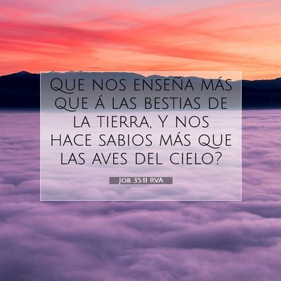Picture 07 - Job 35:11 RVA - Que nos enseña más que á las bestias de la - Bible Verse Picture
