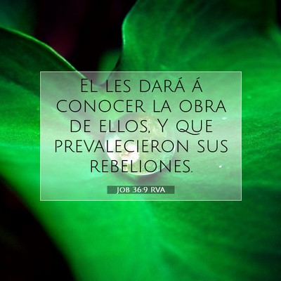 Picture 07 - Job 36:9 RVA - El les dará á conocer la obra de ellos, Y que - Bible Verse Picture