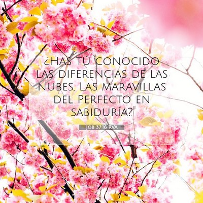 Picture 07 - Job 37:16 RVA - ¿Has tú conocido las diferencias de las nubes, - Bible Verse Picture
