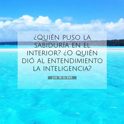 Picture 07 - Job 38:36 RVA - ¿Quién puso la sabiduría en el interior? ¿O - Bible Verse Picture