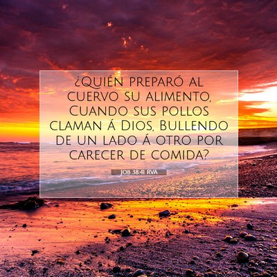 Picture 07 - Job 38:41 RVA - ¿Quién preparó al cuervo su alimento, Cuando - Bible Verse Picture