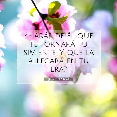 Picture 07 - Job 39:12 RVA - ¿Fiarás de él que te tornará tu simiente, Y - Bible Verse Picture