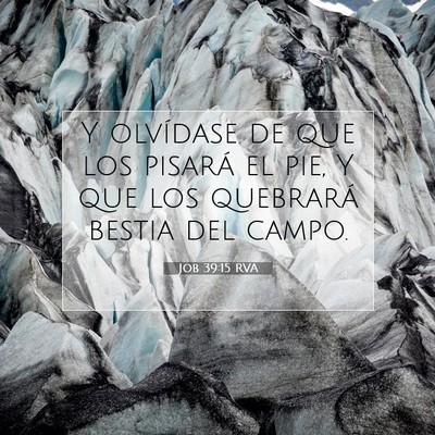 Picture 07 - Job 39:15 RVA - Y olvídase de que los pisará el pie, Y que los - Bible Verse Picture