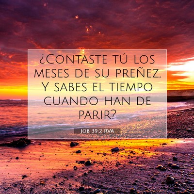 Picture 07 - Job 39:2 RVA - ¿Contaste tú los meses de su preñez, Y sabes - Bible Verse Picture