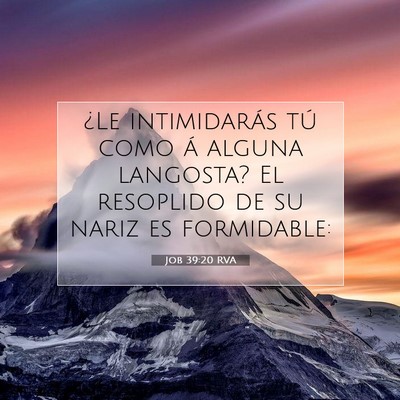 Picture 07 - Job 39:20 RVA - ¿Le intimidarás tú como á alguna langosta? El - Bible Verse Picture