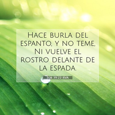 Picture 07 - Job 39:22 RVA - Hace burla del espanto, y no teme, Ni vuelve el - Bible Verse Picture