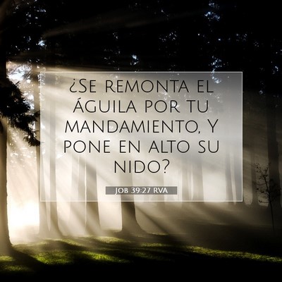 Picture 07 - Job 39:27 RVA - ¿Se remonta el águila por tu mandamiento, Y - Bible Verse Picture