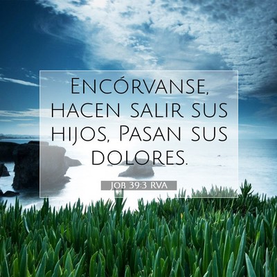Picture 07 - Job 39:3 RVA - Encórvanse, hacen salir sus hijos, Pasan sus - Bible Verse Picture
