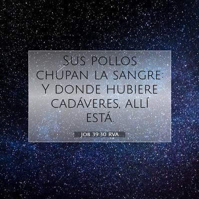 Picture 07 - Job 39:30 RVA - Sus pollos chupan la sangre: Y donde hubiere - Bible Verse Picture
