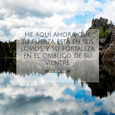 Picture 07 - Job 40:16 RVA - He aquí ahora que su fuerza está en sus lomos, - Bible Verse Picture