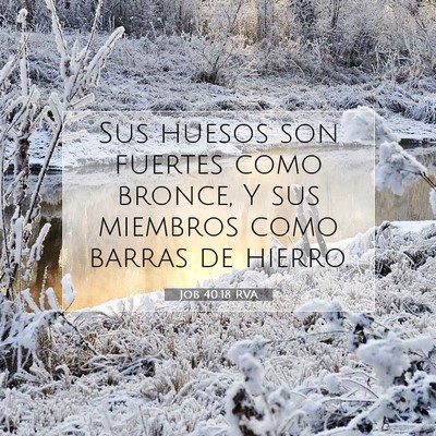 Picture 07 - Job 40:18 RVA - Sus huesos son fuertes como bronce, Y sus - Bible Verse Picture