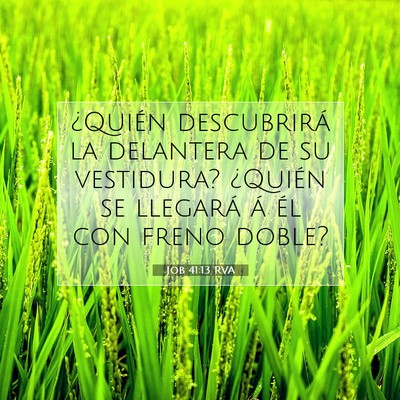 Picture 07 - Job 41:13 RVA - ¿Quién descubrirá la delantera de su - Bible Verse Picture