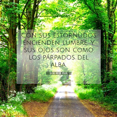 Picture 07 - Job 41:18 RVA - Con sus estornudos encienden lumbre, Y sus ojos - Bible Verse Picture
