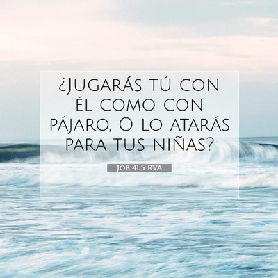 Picture 07 - Job 41:5 RVA - ¿Jugarás tú con él como con pájaro, O lo - Bible Verse Picture