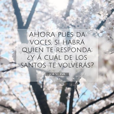 Picture 07 - Job 5:1 RVA - AHORA pues da voces, si habrá quien te responda; - Bible Verse Picture